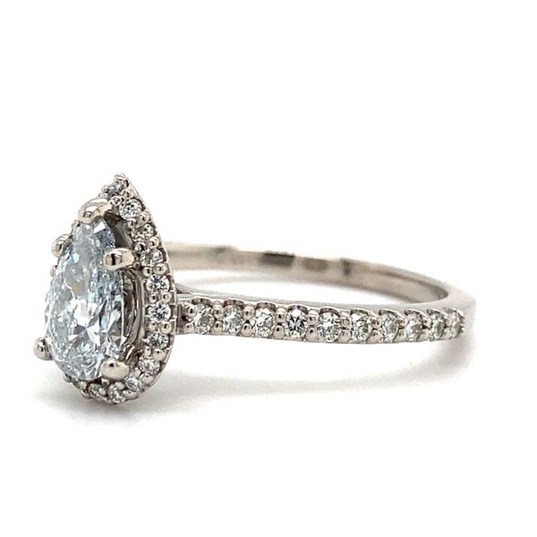 14K White Gold Halo Natural Diamond Engagement Ring Image 2 Carroll / Ochs Jewelers Monroe, MI