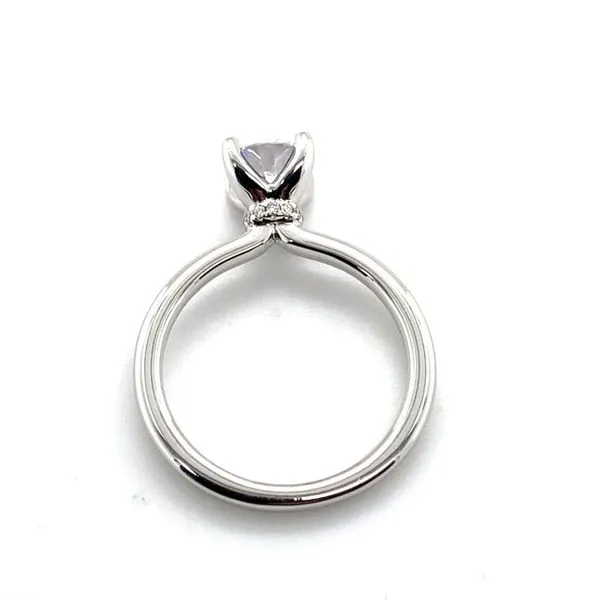 Natural Diamond Semi-Mounting