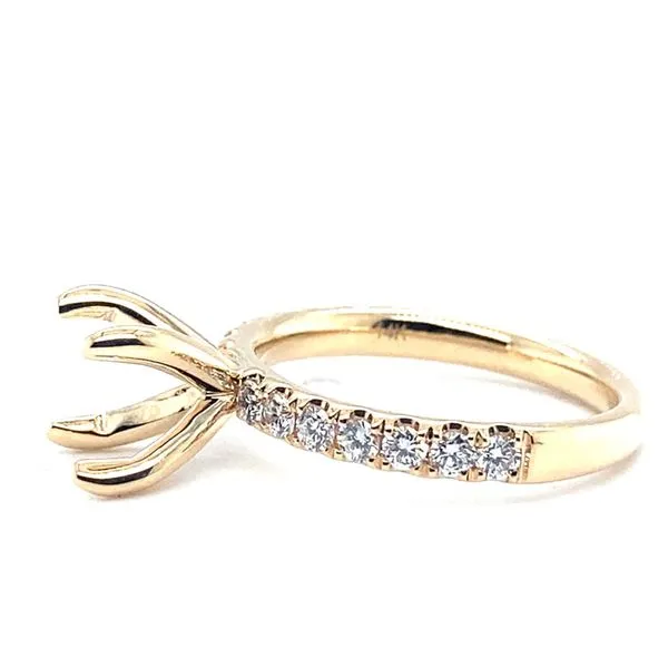 Natural Diamond Semi-Mounting