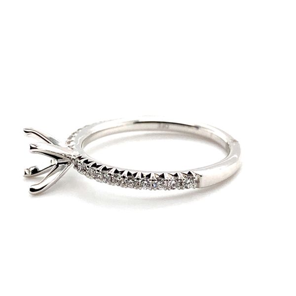 Natural Diamond Semi-Mounting Image 2 Carroll / Ochs Jewelers Monroe, MI