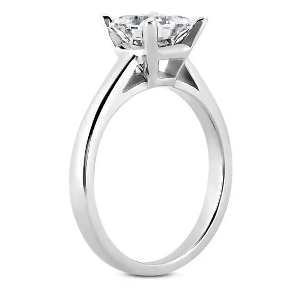 14 Karat White Gold Engagement Ring Setting Image 2 Carroll / Ochs Jewelers Monroe, MI