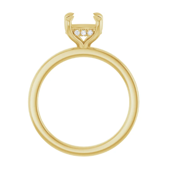 Natural Diamond Engagement Ring Setting Image 2 Carroll / Ochs Jewelers Monroe, MI