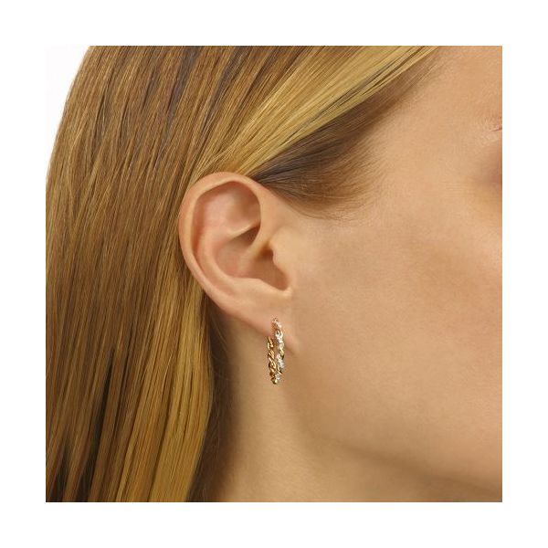 1/4 ctw Diamond Twisted Hoop Earrings in 10 Karat Image 2 Carroll / Ochs Jewelers Monroe, MI