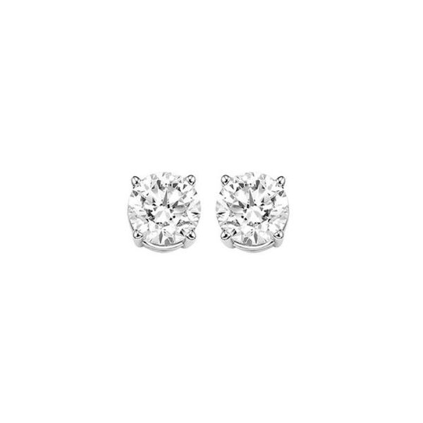 1 ctw Diamonds Stud Earrings in 14 Karat Carroll / Ochs Jewelers Monroe, MI
