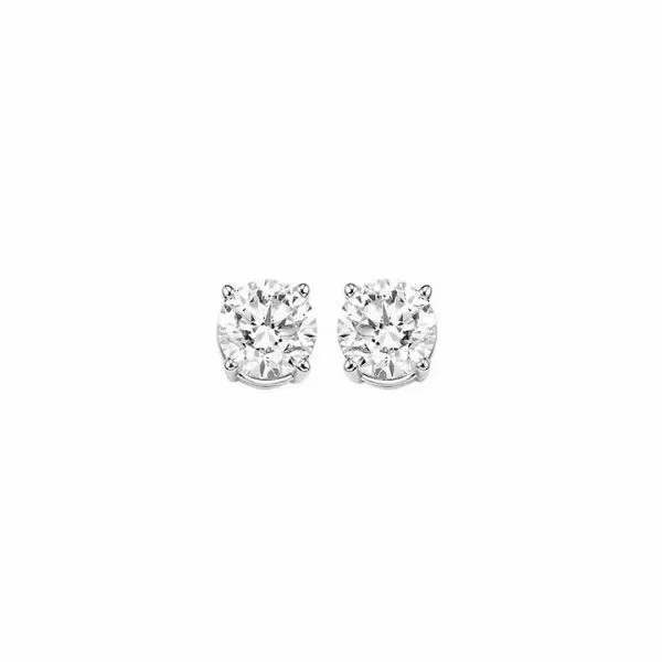 1/4 ctw Diamond Stud Earrings in 14 Karat Carroll / Ochs Jewelers Monroe, MI