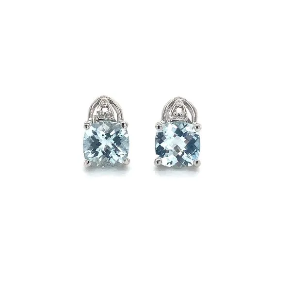 Earrings Carroll / Ochs Jewelers Monroe, MI