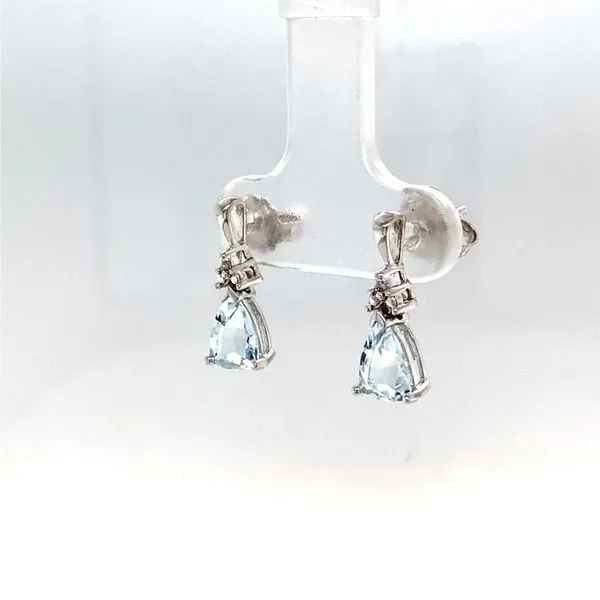 Earrings Image 2 Carroll / Ochs Jewelers Monroe, MI