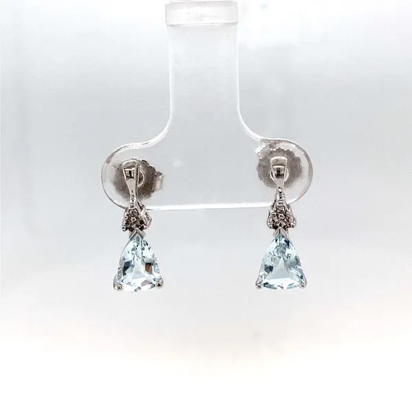 Earrings Carroll / Ochs Jewelers Monroe, MI