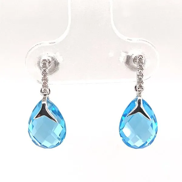 Earrings Carroll / Ochs Jewelers Monroe, MI
