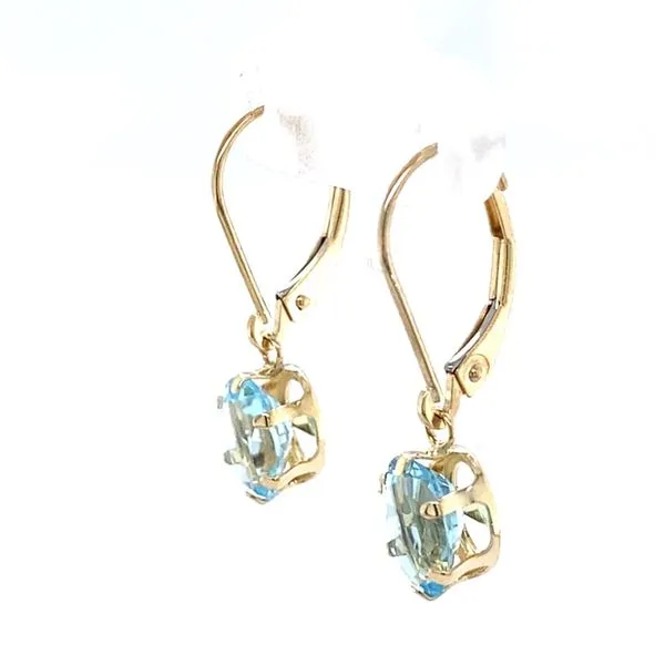 Earrings Image 2 Carroll / Ochs Jewelers Monroe, MI