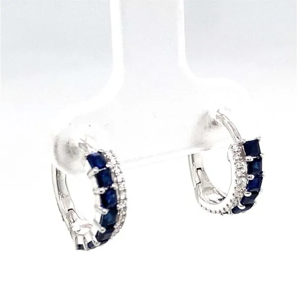 Earrings Carroll / Ochs Jewelers Monroe, MI