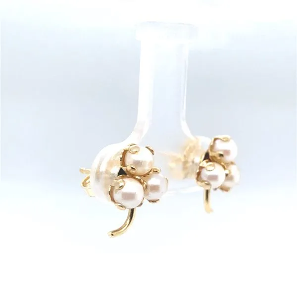 Earrings Carroll / Ochs Jewelers Monroe, MI