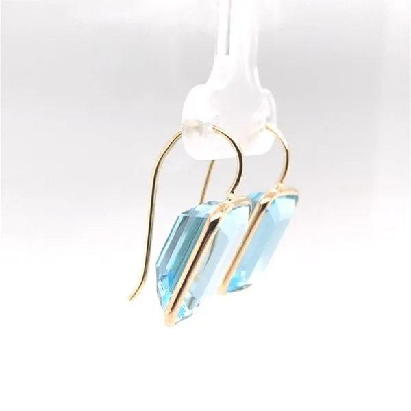 Earrings Carroll / Ochs Jewelers Monroe, MI