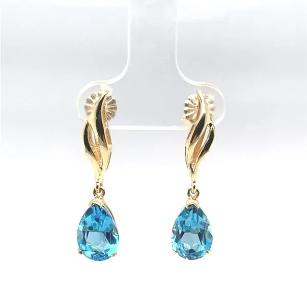 Earrings Carroll / Ochs Jewelers Monroe, MI