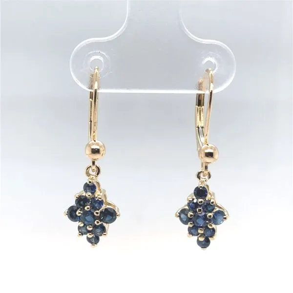 Earrings Carroll / Ochs Jewelers Monroe, MI
