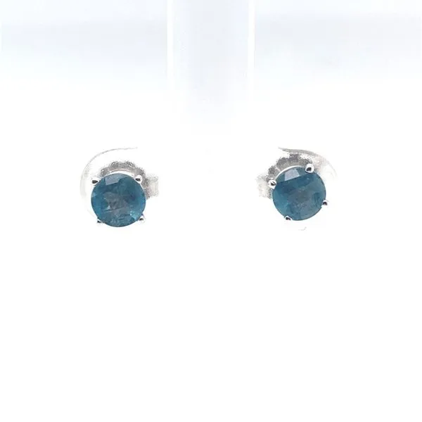 Earrings Carroll / Ochs Jewelers Monroe, MI