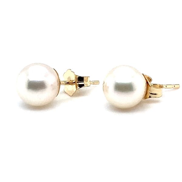 Earrings Carroll / Ochs Jewelers Monroe, MI