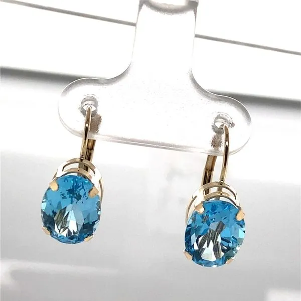 Earrings Carroll / Ochs Jewelers Monroe, MI