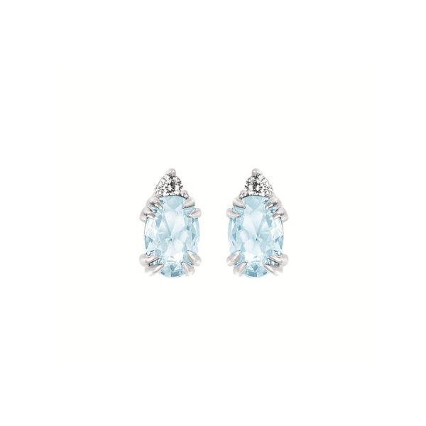 Earrings Carroll / Ochs Jewelers Monroe, MI