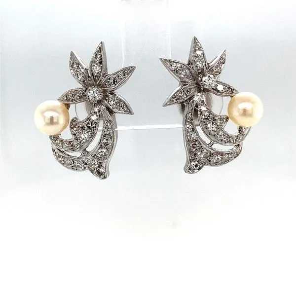 Earrings Carroll / Ochs Jewelers Monroe, MI