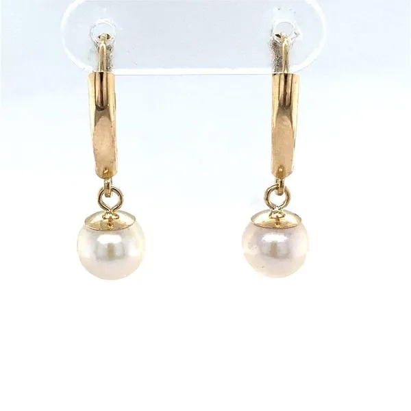 Earrings Carroll / Ochs Jewelers Monroe, MI