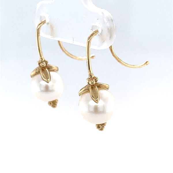 Earrings Image 2 Carroll / Ochs Jewelers Monroe, MI