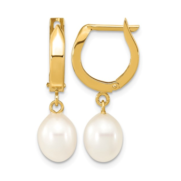 Earrings Carroll / Ochs Jewelers Monroe, MI