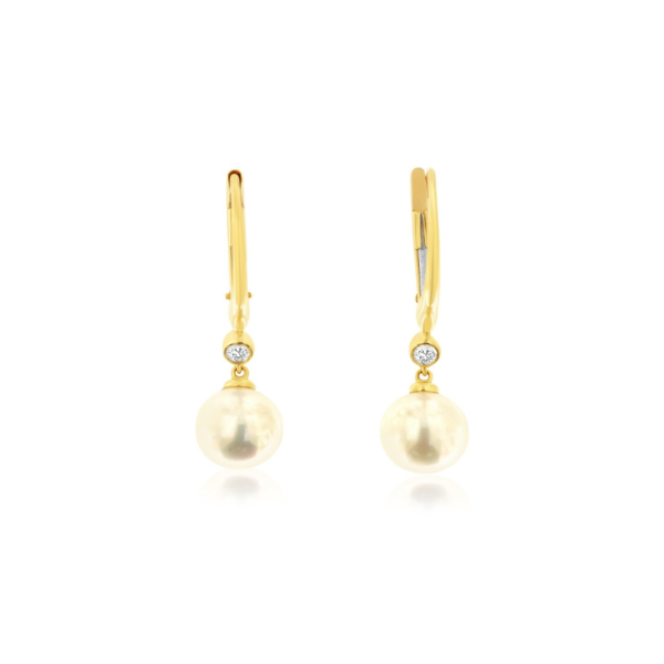 Earrings Carroll / Ochs Jewelers Monroe, MI