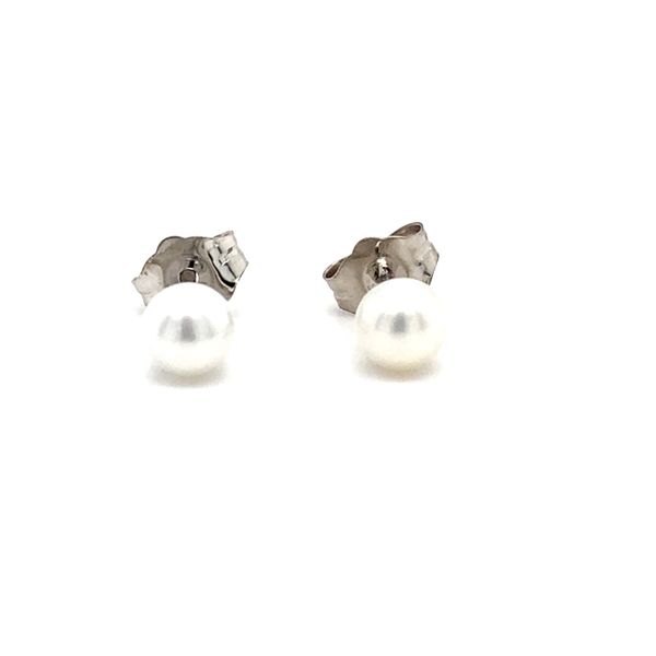 Earrings Carroll / Ochs Jewelers Monroe, MI