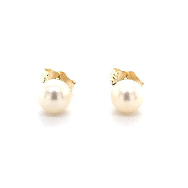Earrings Carroll / Ochs Jewelers Monroe, MI
