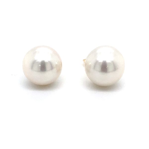 Earrings Carroll / Ochs Jewelers Monroe, MI