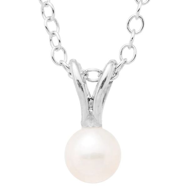  Carroll / Ochs Jewelers Monroe, MI