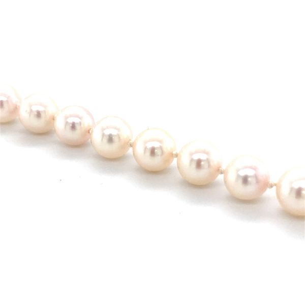 Bracelet Image 2 Carroll / Ochs Jewelers Monroe, MI