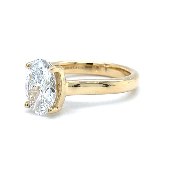 Lab Grown Diamond Half Bezel Cathedral Engagement Ring Image 2 Carroll / Ochs Jewelers Monroe, MI