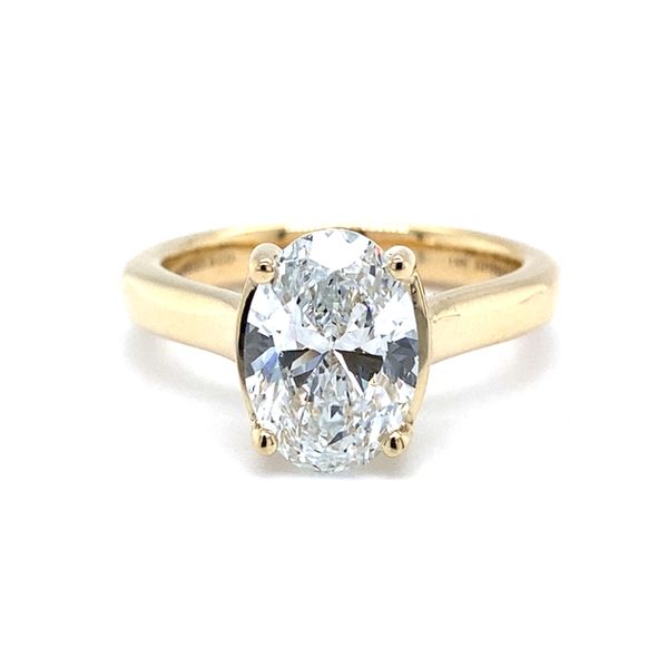 Lab Grown Diamond Half Bezel Cathedral Engagement Ring Carroll / Ochs Jewelers Monroe, MI