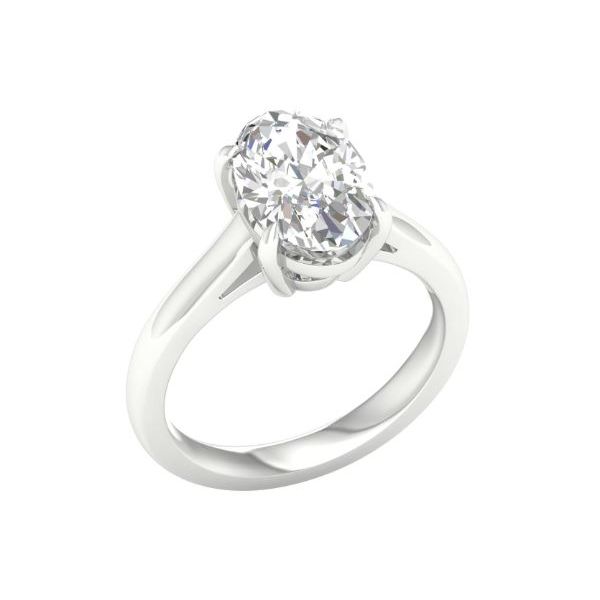 Engagement Ring Carroll / Ochs Jewelers Monroe, MI