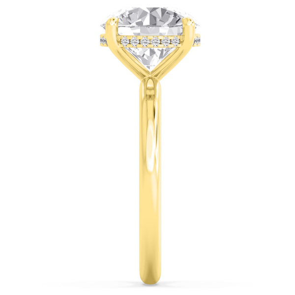 Engagement Ring Image 3 Carroll / Ochs Jewelers Monroe, MI