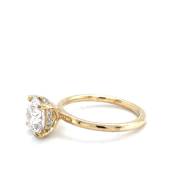 Engagement Ring Setting Image 2 Carroll / Ochs Jewelers Monroe, MI
