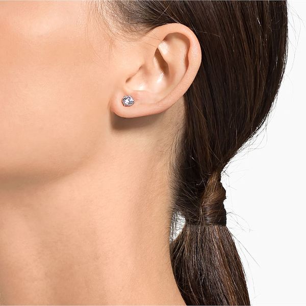 Attract stud earrings Image 2 Carroll / Ochs Jewelers Monroe, MI