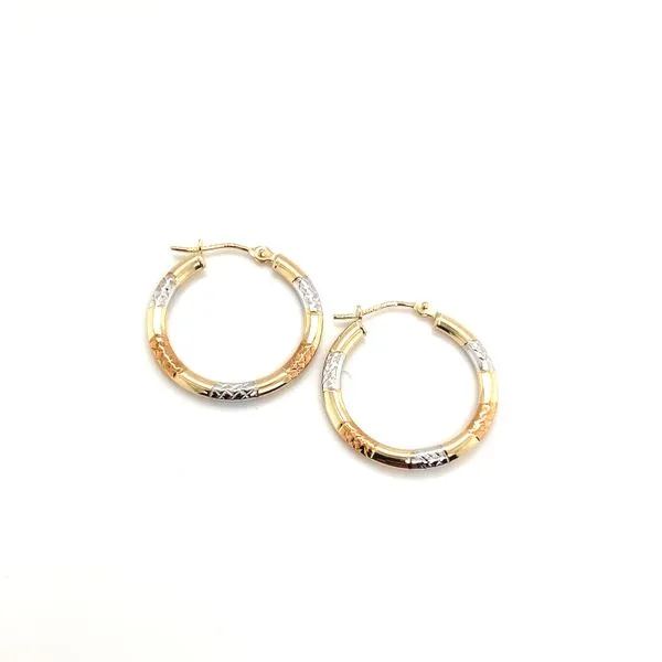 Earrings Carroll / Ochs Jewelers Monroe, MI