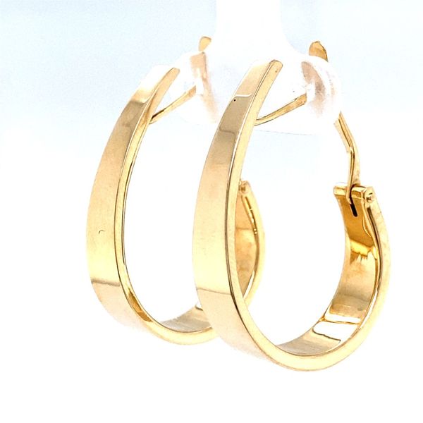 Earrings Carroll / Ochs Jewelers Monroe, MI