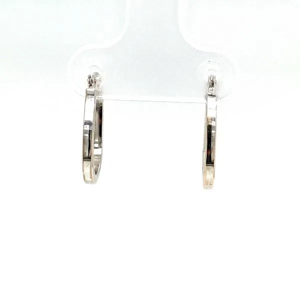 Earrings Carroll / Ochs Jewelers Monroe, MI