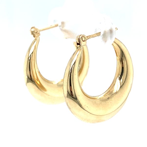 Earrings Carroll / Ochs Jewelers Monroe, MI