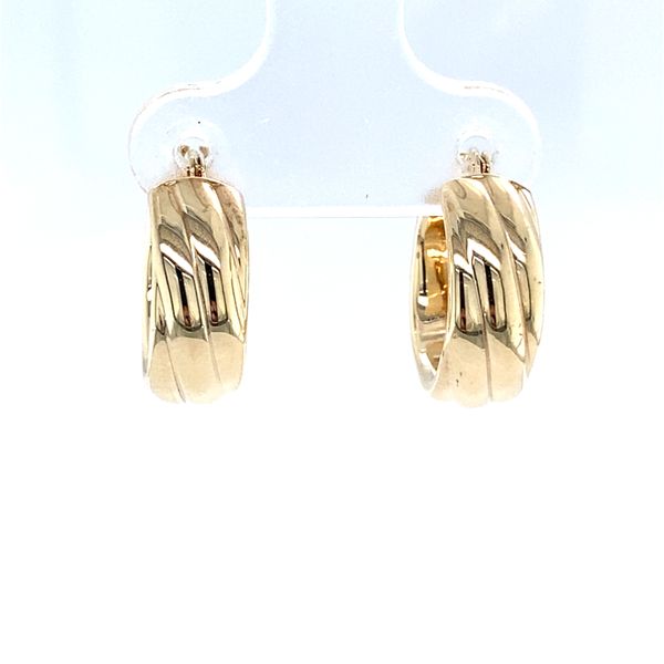 Earrings Carroll / Ochs Jewelers Monroe, MI