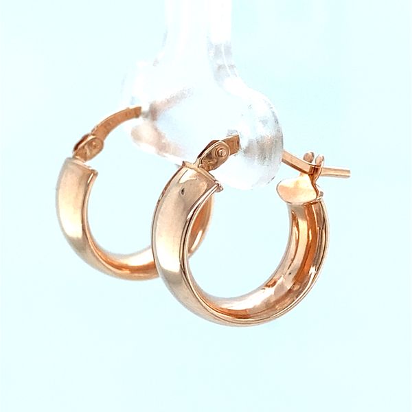 Earrings Carroll / Ochs Jewelers Monroe, MI
