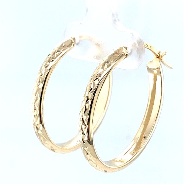 Earrings Carroll / Ochs Jewelers Monroe, MI