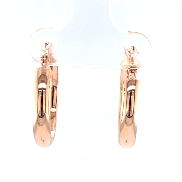 Earrings Image 2 Carroll / Ochs Jewelers Monroe, MI