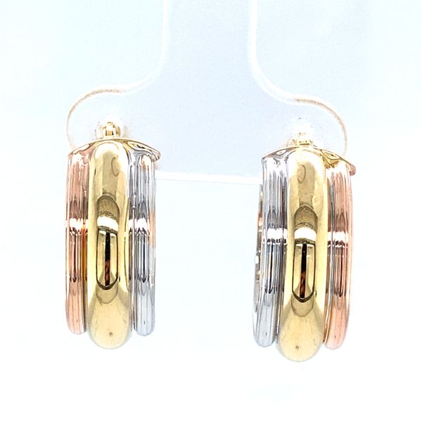 Earrings Carroll / Ochs Jewelers Monroe, MI