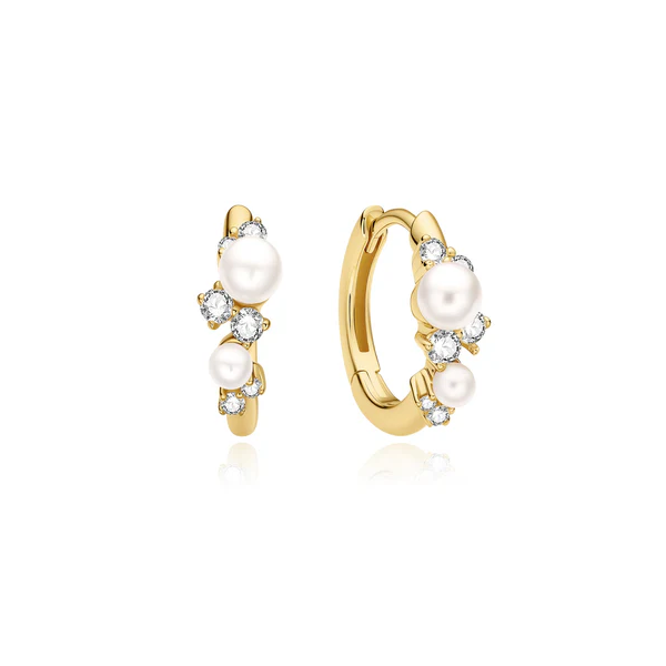 Earrings Carroll / Ochs Jewelers Monroe, MI