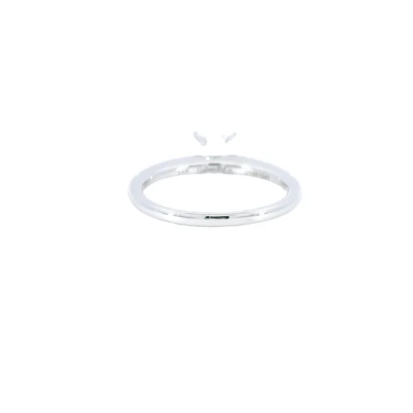 14K White Gold Unique Diamond Engagement Ring Setting Image 3 Carroll's Jewelers Fort Lauderdale, FL